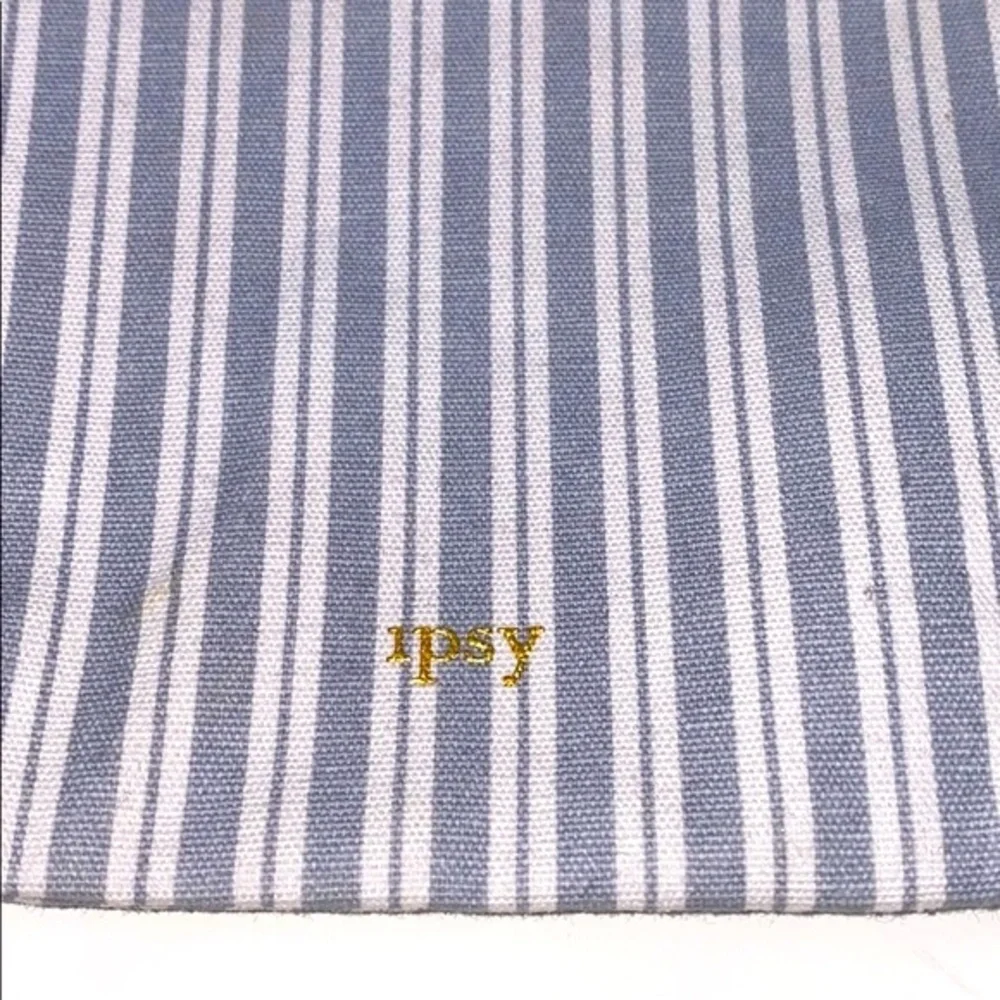 Ipsy Blue & White Striped Makeup Bag Cosmetic Pouch